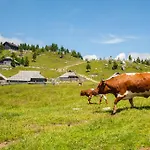 Alpehytte Tisa Velika Planina *