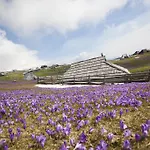 Alpehytte Tisa Velika Planina *