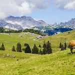 Tisa Velika Planina