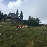 Tisa Velika Planina Alpehytte