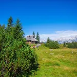 Tisa Velika Planina Alpehytte Stahovica