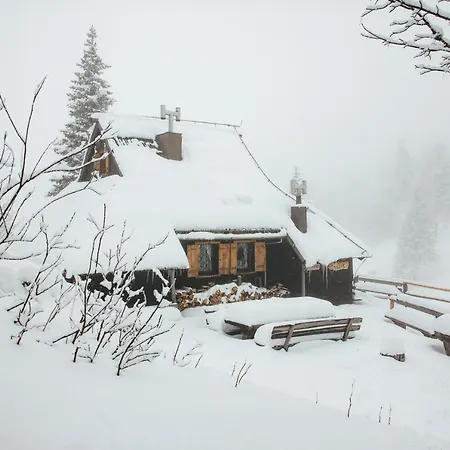 Domek alpejski Tisa Velika Planina *