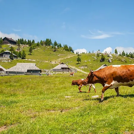 Horská chata Tisa Velika Planina *