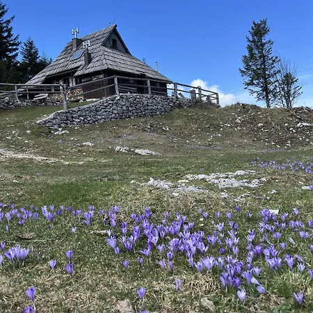 Chalet Tisa Velika Planina Stahovica