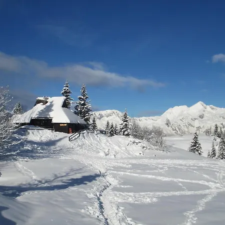 Tisa Velika Planina Chalet *