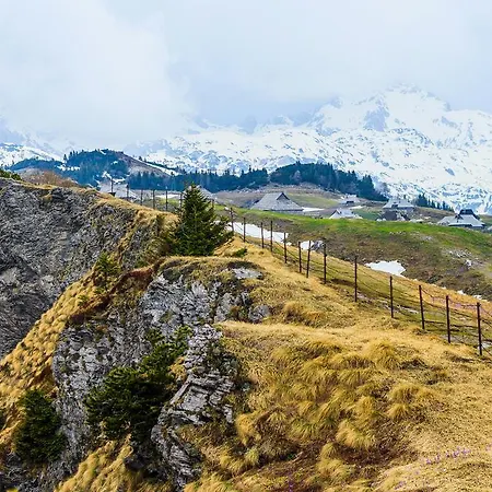 Tisa Velika Planina Domek alpejski *