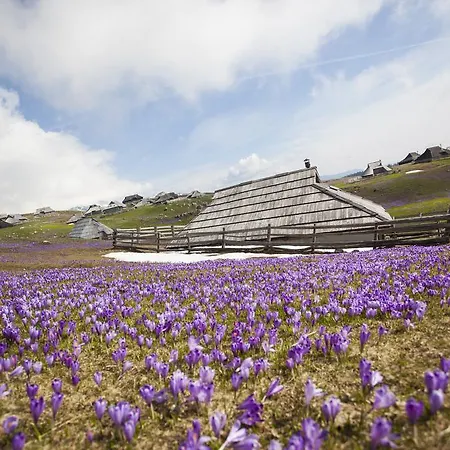 Domek alpejski Tisa Velika Planina *