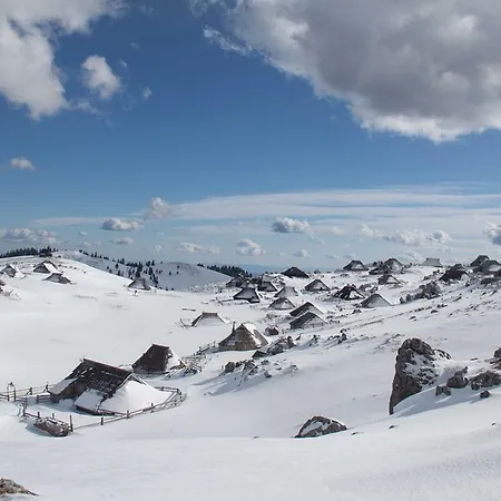 Chalet Tisa Velika Planina *