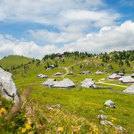 Domek alpejski Tisa Velika Planina