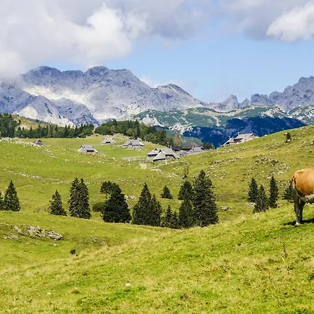 Tisa Velika Planina