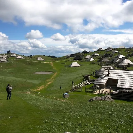 Domek alpejski Tisa Velika Planina Stahovica