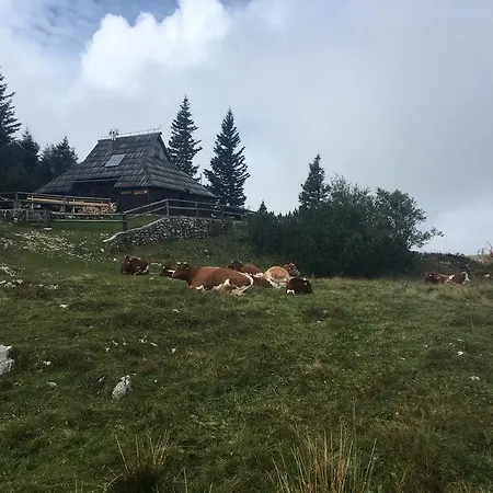 Tisa Velika Planina Domek alpejski