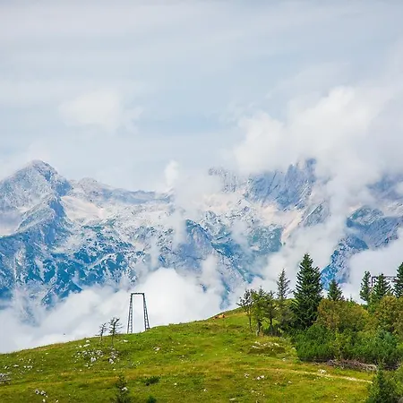 Domek alpejski Tisa Velika Planina Stahovica