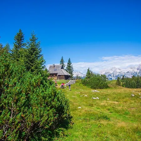 Tisa Velika Planina Domek alpejski Stahovica