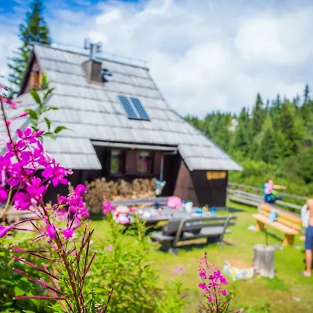 Tisa Velika Planina Chalet *
