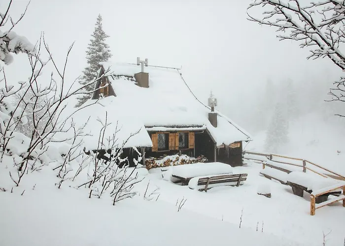 シャレー Tisa Velika Planina *