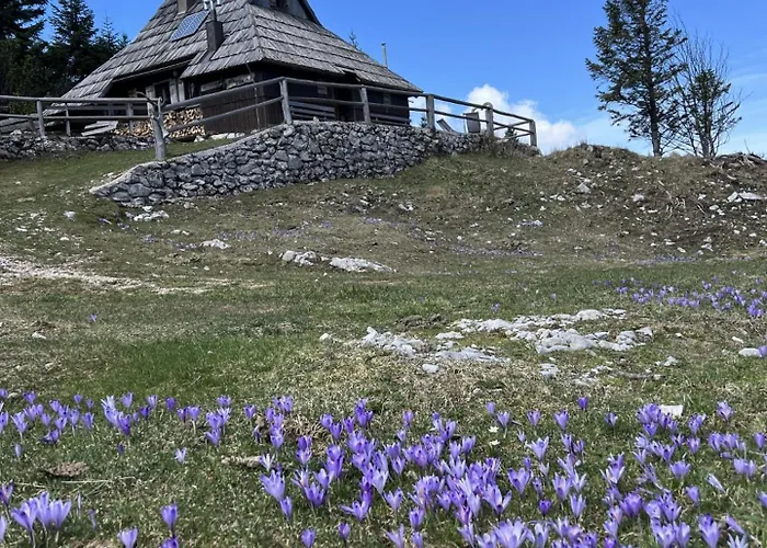 Chalet Tisa Velika Planina Stahovica