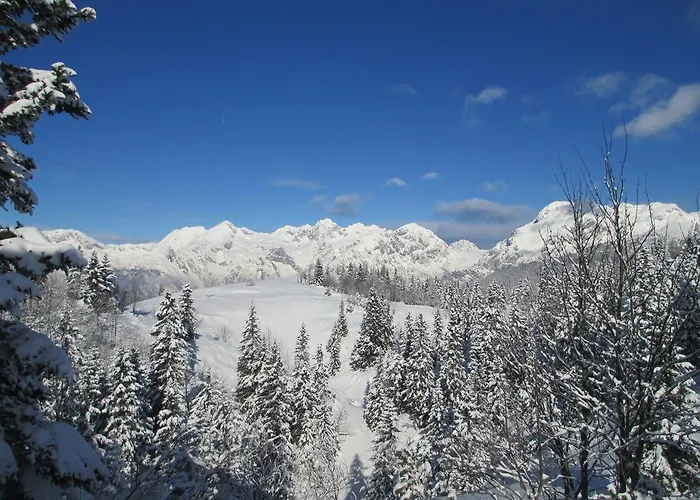 Tisa Velika Planina * Stahovica