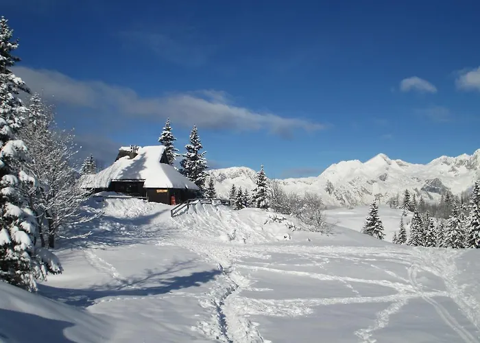 Tisa Velika Planina Σαλέ *