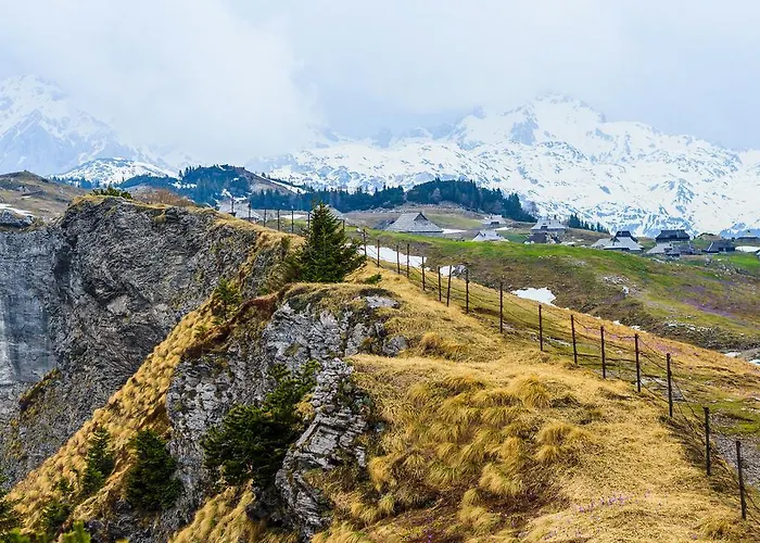 Tisa Velika Planina Chalet *