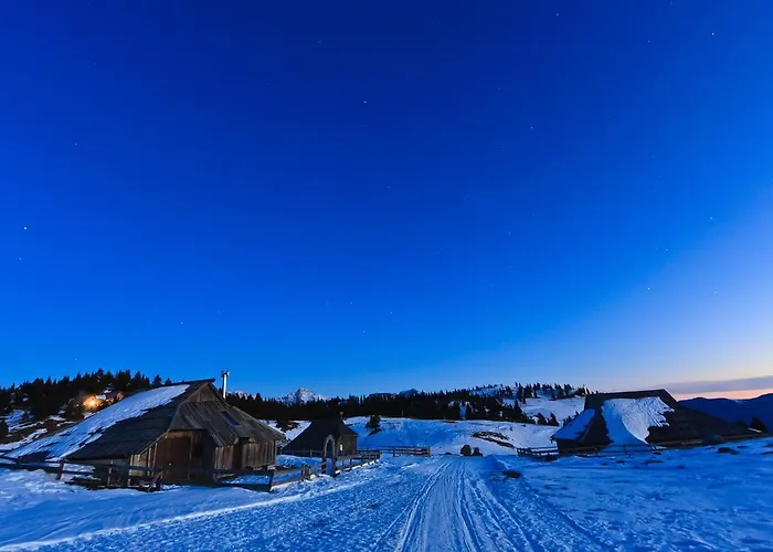 Tisa Velika Planina Chalet Stahovica