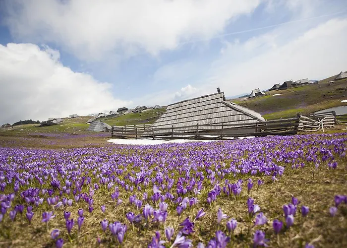 Σαλέ Tisa Velika Planina *