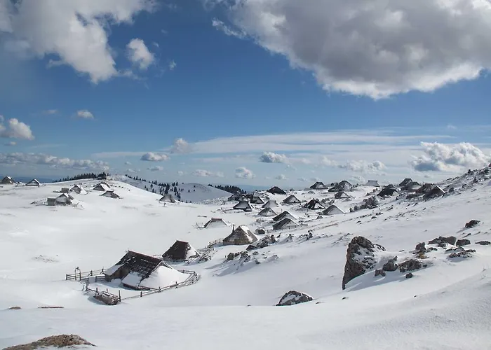 Σαλέ Tisa Velika Planina *