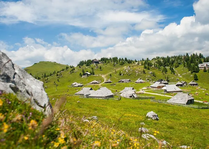 Σαλέ Tisa Velika Planina