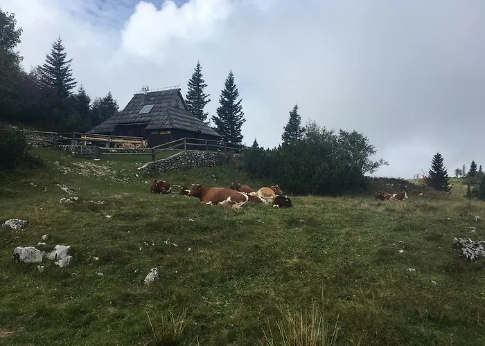 Tisa Velika Planina Chalet
