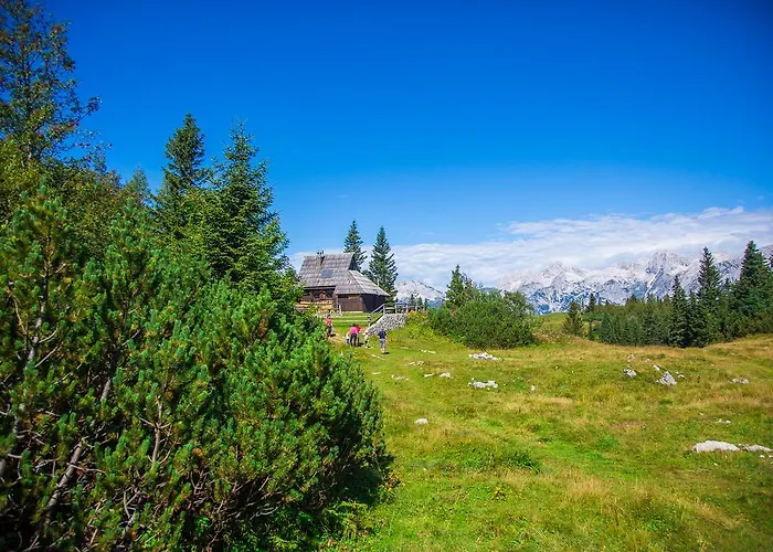 Tisa Velika Planina Chalet Stahovica