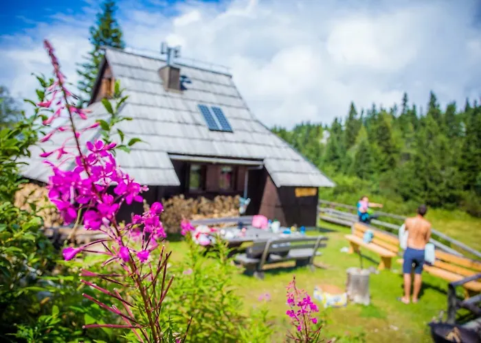 Tisa Velika Planina Chalet *