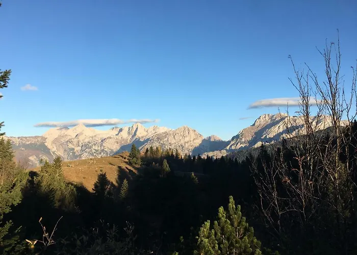 Chalet Tisa Velika Planina